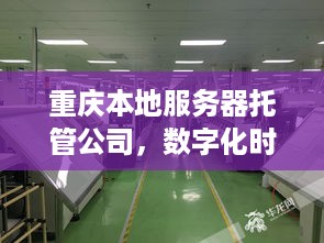 重庆本地服务器托管公司，数字化时代的可靠伙伴