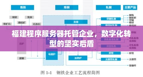 福建程序服务器托管企业，数字化转型的坚实后盾