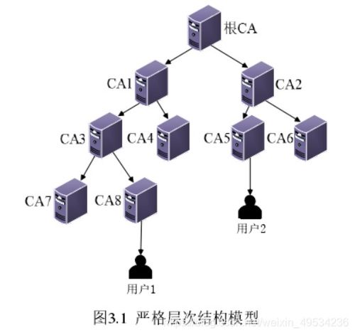 探索实体服务器托管服务的未来趋势