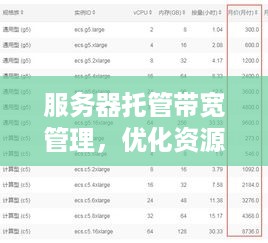 服务器托管带宽管理，优化资源配置，提升业务效率