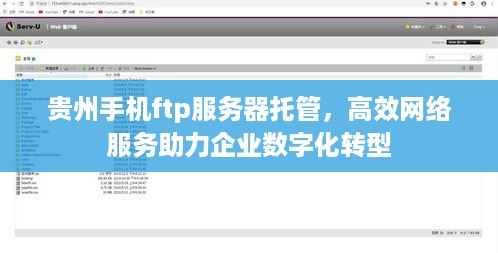 贵州手机ftp服务器托管，高效网络服务助力企业数字化转型
