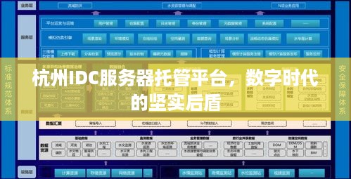 杭州IDC服务器托管平台，数字时代的坚实后盾