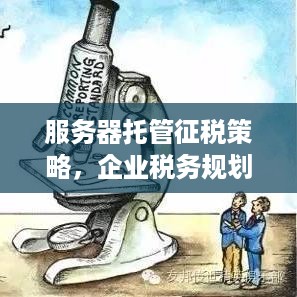 服务器托管征税策略，企业税务规划与合规指南