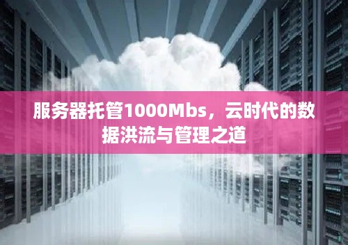 服务器托管1000Mbs，云时代的数据洪流与管理之道