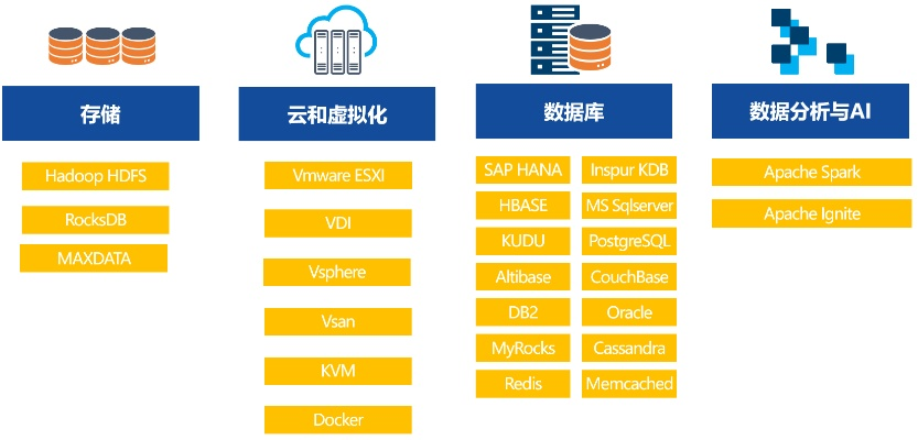 服务器托管1000Mbs，云时代的数据洪流与管理之道