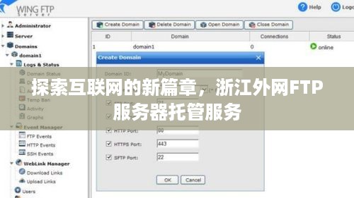 探索互联网的新篇章，浙江外网FTP服务器托管服务