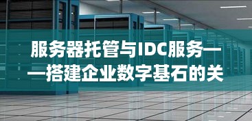 服务器托管与IDC服务——搭建企业数字基石的关键步骤