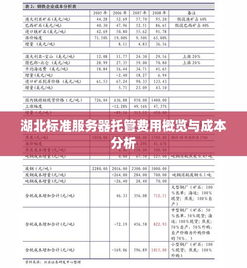 湖北标准服务器托管费用概览与成本分析