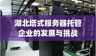 湖北塔式服务器托管企业的发展与挑战