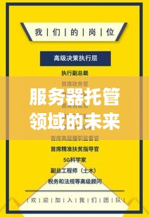 服务器托管领域的未来之星——招募精英人才