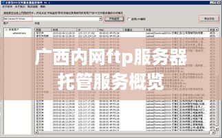 广西内网ftp服务器托管服务概览