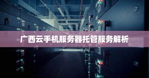 广西云手机服务器托管服务解析