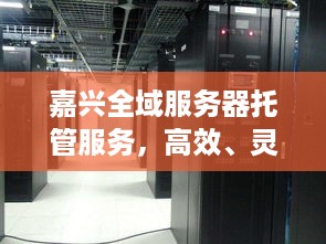 嘉兴全域服务器托管服务，高效、灵活、可靠的技术选择