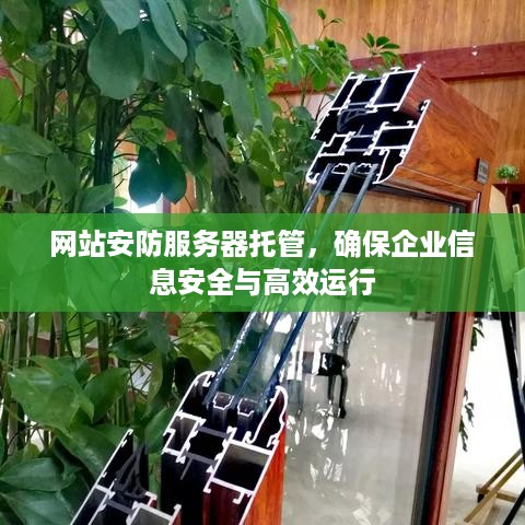 网站安防服务器托管，确保企业信息安全与高效运行