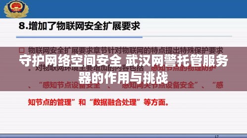 守护网络空间安全 武汉网警托管服务器的作用与挑战