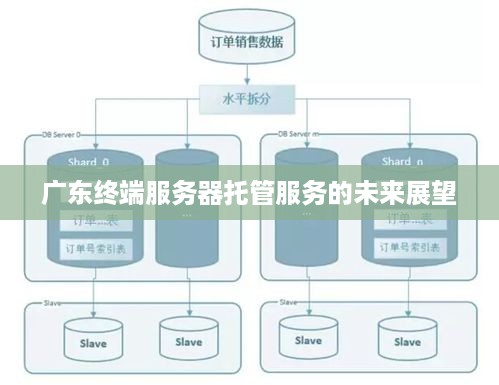 广东终端服务器托管服务的未来展望