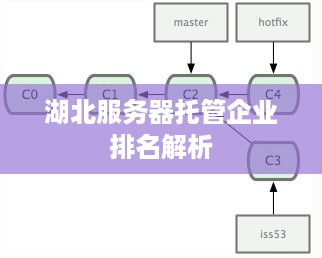 湖北服务器托管企业排名解析