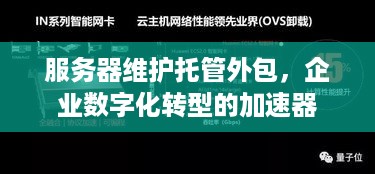 服务器维护托管外包，企业数字化转型的加速器