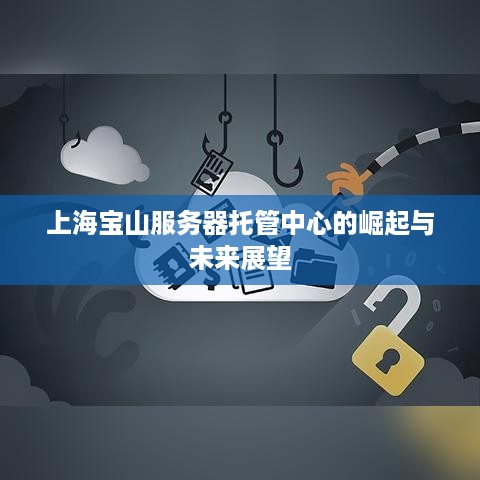 上海宝山服务器托管中心的崛起与未来展望