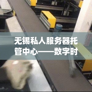 无锡私人服务器托管中心——数字时代的可靠后盾