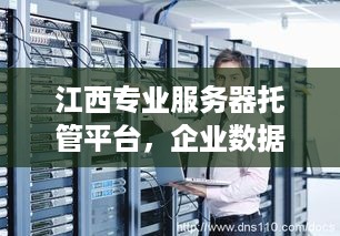 江西专业服务器托管平台，企业数据安全的坚固堡垒