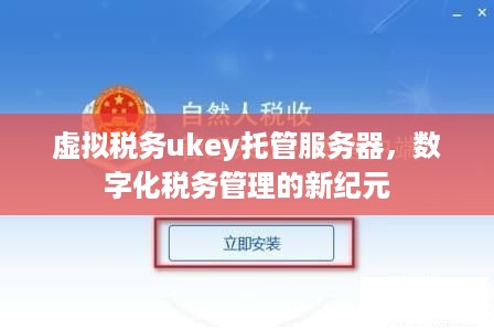 虚拟税务ukey托管服务器，数字化税务管理的新纪元