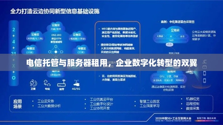 电信托管与服务器租用，企业数字化转型的双翼