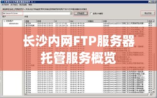 长沙内网FTP服务器托管服务概览