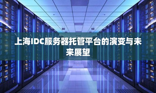 上海IDC服务器托管平台的演变与未来展望