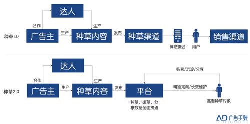 服务器托管责任的归属与法律界定