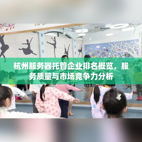 杭州服务器托管企业排名概览，服务质量与市场竞争力分析