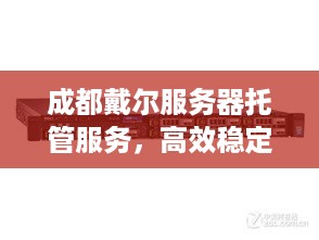 成都戴尔服务器托管服务，高效稳定，满足企业需求