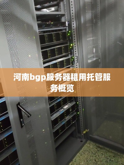 河南bgp服务器租用托管服务概览