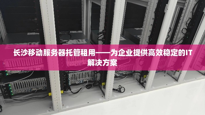 长沙移动服务器托管租用——为企业提供高效稳定的IT解决方案