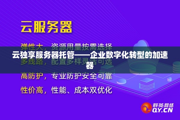 云独享服务器托管——企业数字化转型的加速器