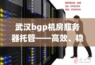 武汉bgp机房服务器托管——高效、稳定与成本效益的完美结合