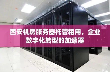 西安机房服务器托管租用，企业数字化转型的加速器