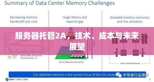 服务器托管2A，技术、成本与未来展望