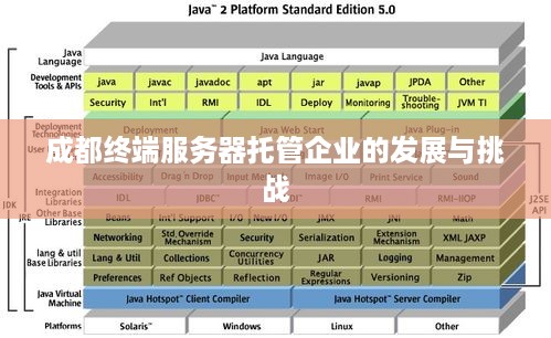 成都终端服务器托管企业的发展与挑战