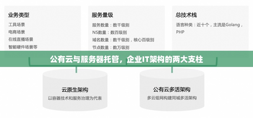 公有云与服务器托管，企业IT架构的两大支柱