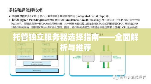 托管独立服务器选择指南——全面解析与推荐