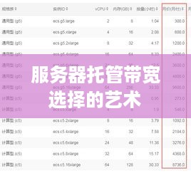 服务器托管带宽选择的艺术