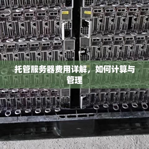 托管服务器费用详解，如何计算与管理