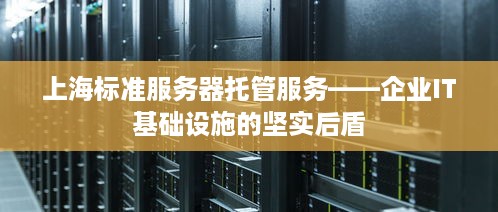 上海标准服务器托管服务——企业IT基础设施的坚实后盾