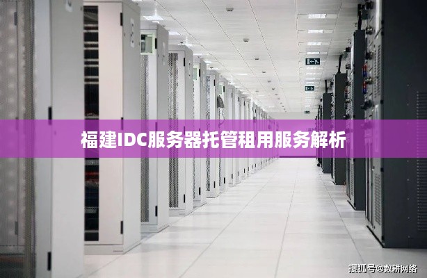 福建IDC服务器托管租用服务解析