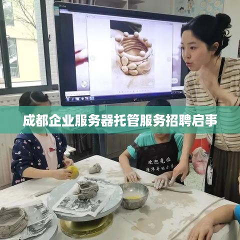 成都企业服务器托管服务招聘启事