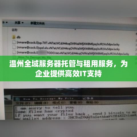 温州全域服务器托管与租用服务，为企业提供高效IT支持