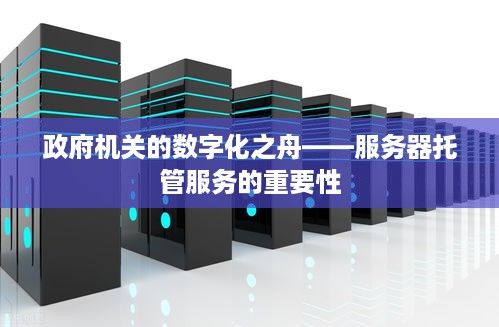 政府机关的数字化之舟——服务器托管服务的重要性