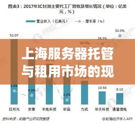 上海服务器托管与租用市场的现状及未来展望