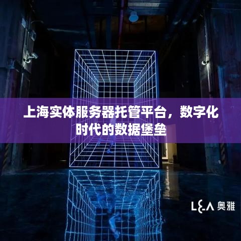 上海实体服务器托管平台，数字化时代的数据堡垒